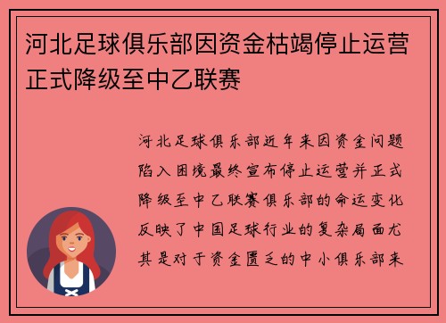 河北足球俱乐部因资金枯竭停止运营正式降级至中乙联赛
