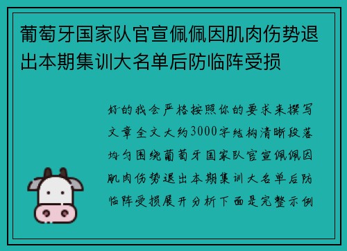 葡萄牙国家队官宣佩佩因肌肉伤势退出本期集训大名单后防临阵受损 葡萄牙国家队官宣佩佩因肌肉伤势退出本期集训大名单后防临阵受损